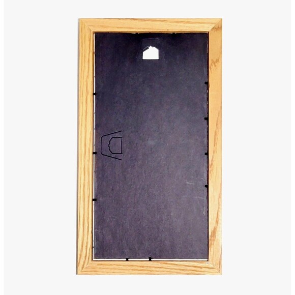 Native American Signed LE 4/200 Hopi Kachina Feather Painting Evans 18x10 HTF! - Picture 4 of 8